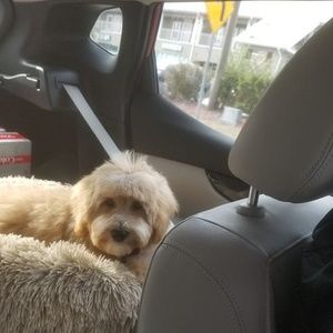 Meet your Posher, Sharon